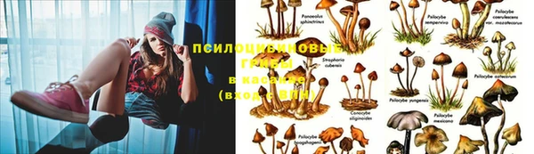 метадон Аркадак