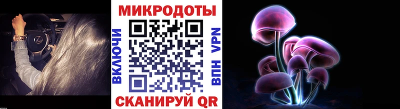 Псилоцибиновые грибы прущие грибы Печоры